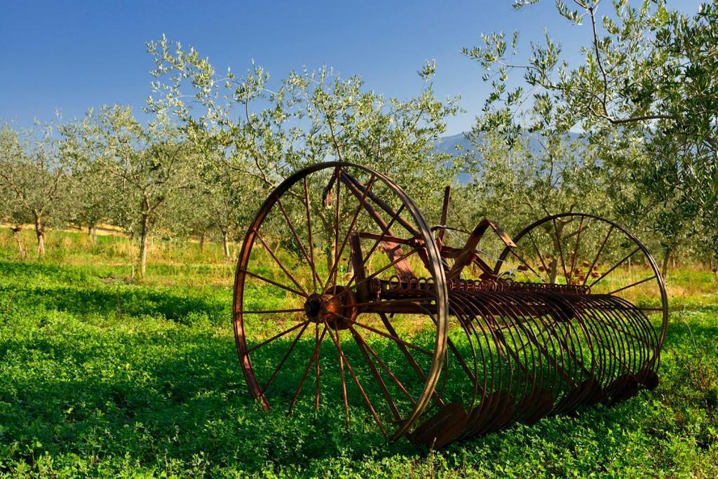 Agriturismo L'Ulivo In Fiore Spoleto Zewnętrze zdjęcie