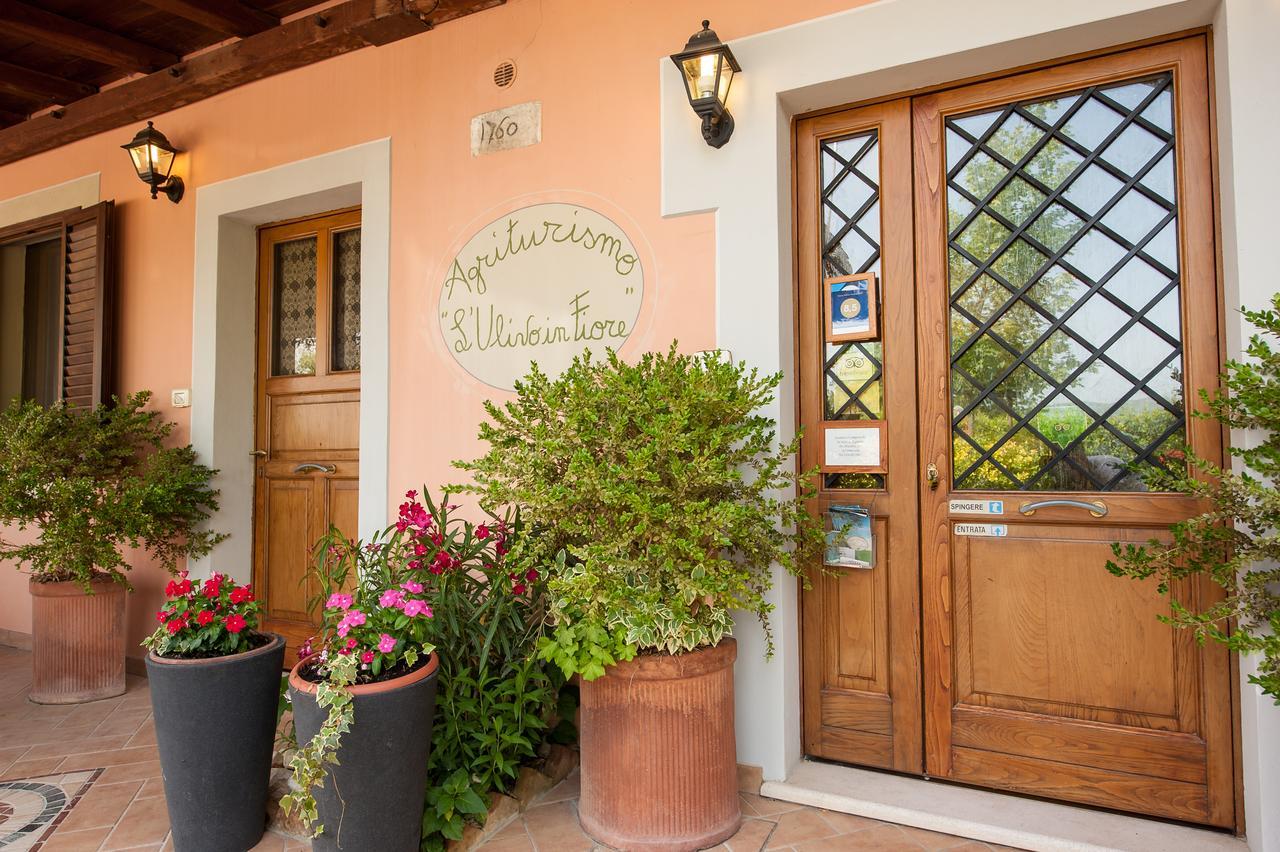 Agriturismo L'Ulivo In Fiore Spoleto Zewnętrze zdjęcie